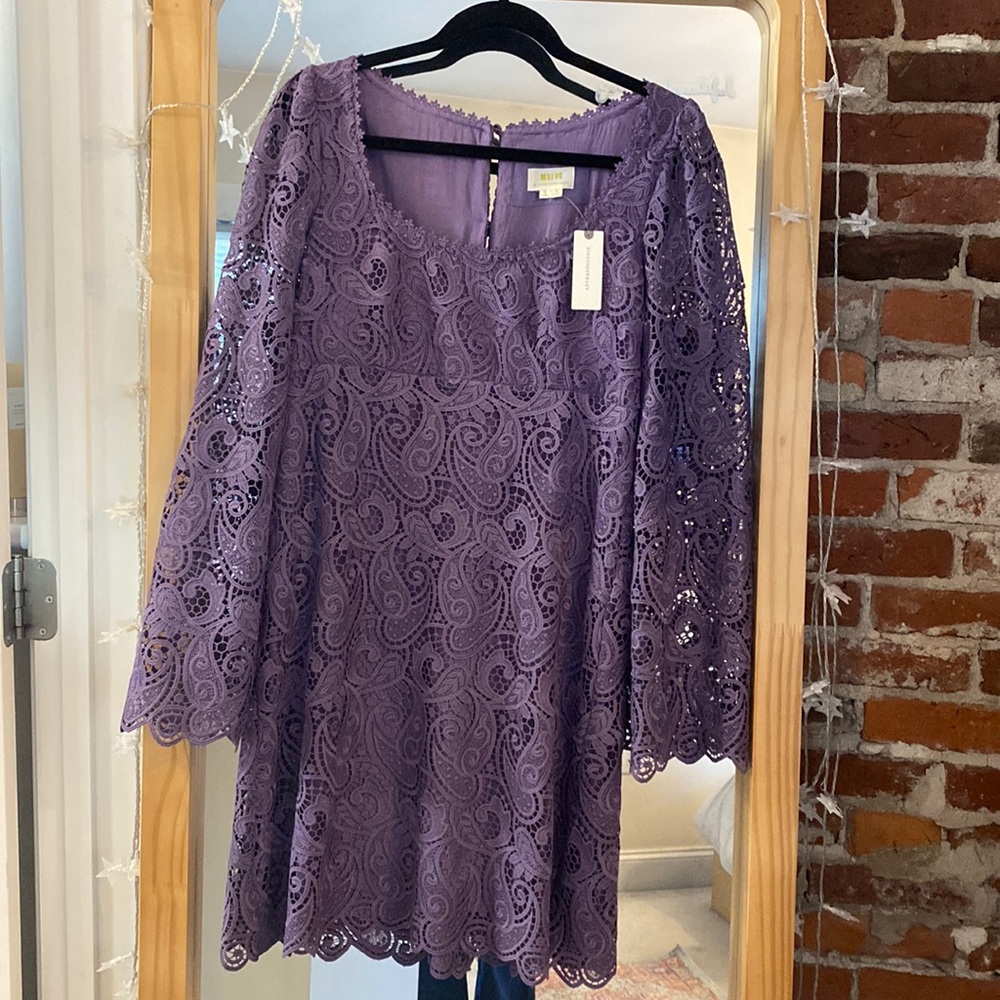 Maeve Embroidered lace mini dress